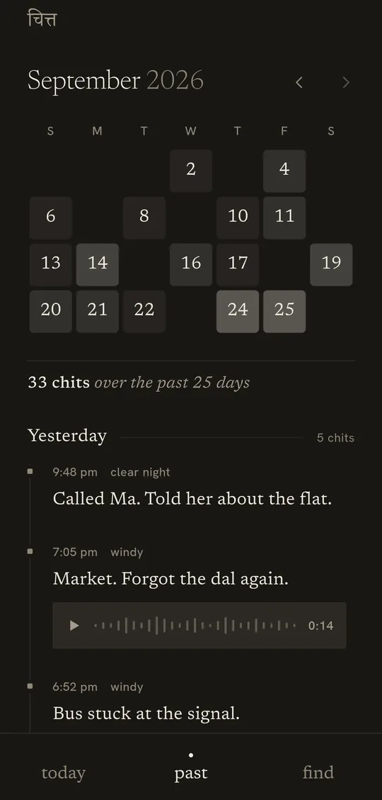 The past view: a month calendar with 33 chits over 25 days, and yesterday's entries below.